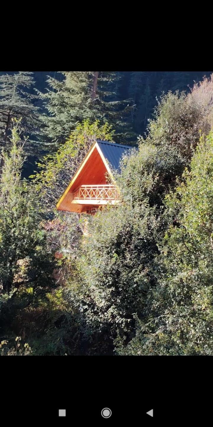 Forest View Cottage Jibhi Exterior photo